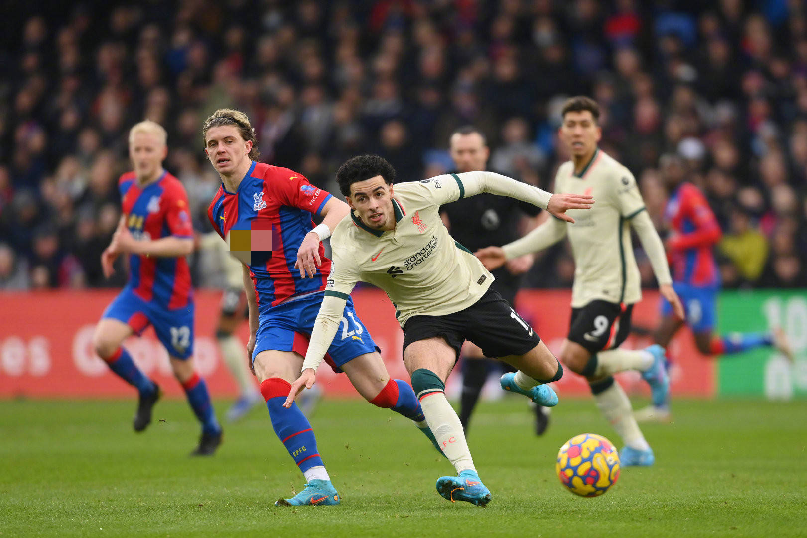 回顾过去 回顾过去